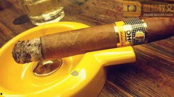 金项链墨镜表情包,表情包中的时尚潮流